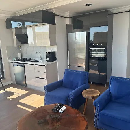 Air-conditioned Brand-new With Natural Gas Heating Apartment *