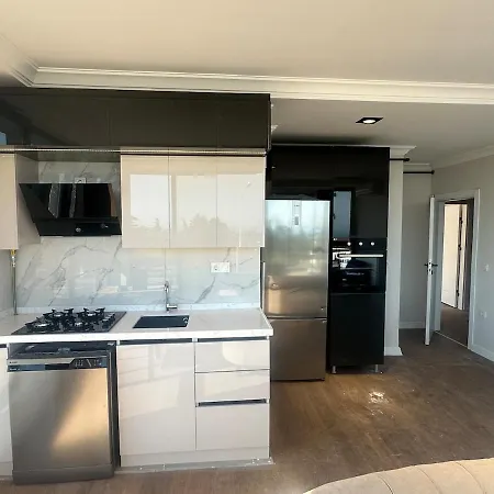 Air-conditioned Brand-new With Natural Gas Heating Apartment *