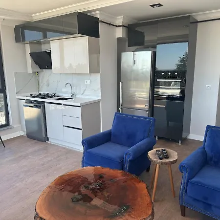 Air-conditioned Brand-new With Natural Gas Heating