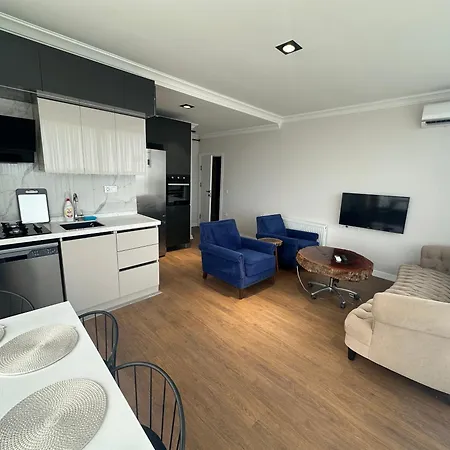 Air-conditioned Brand-new With Natural Gas Heating Apartment Corlu